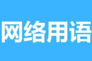 PP电子 PP电子平台零件英语梗的含义及出处介绍